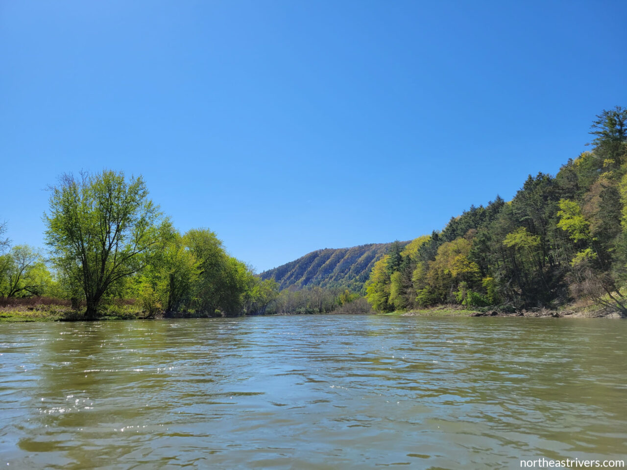 Chemung River Northeast Rivers