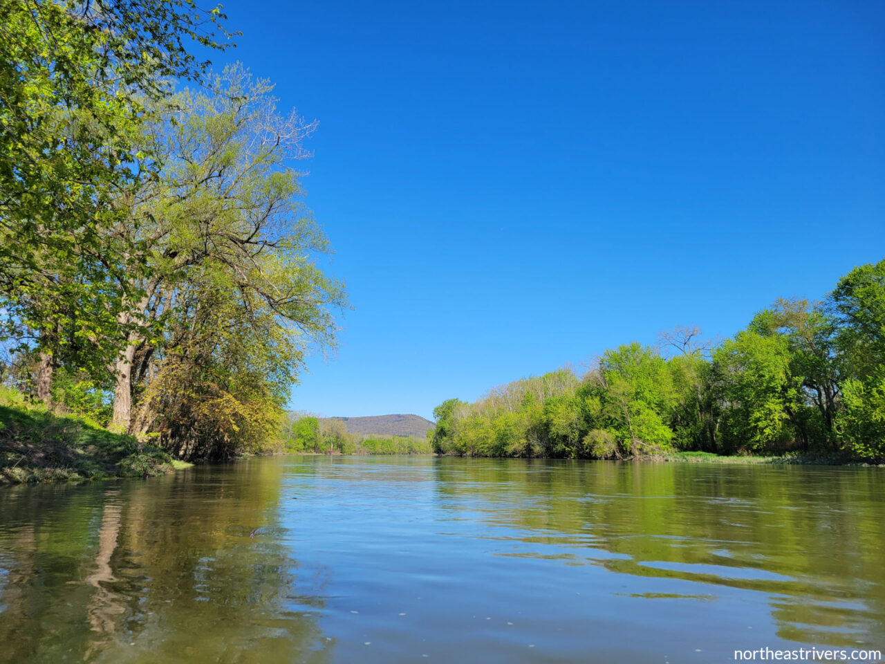 Chemung River – Northeast Rivers