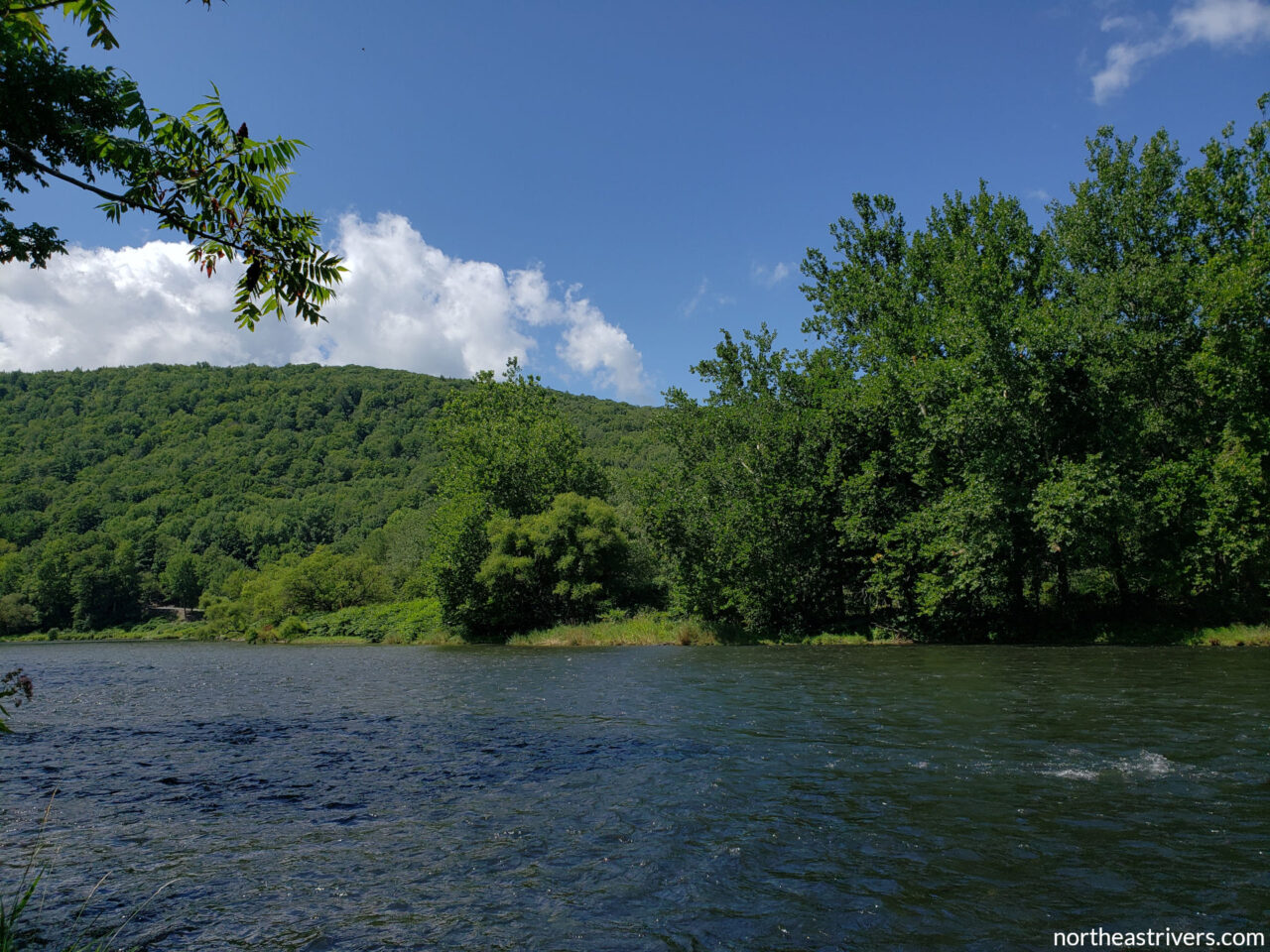 West Branch Delaware River – Northeast Rivers